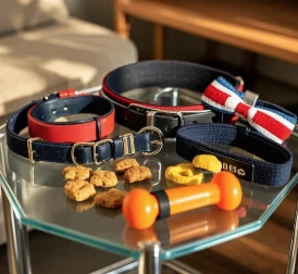 Hvilket tilbehør har hunde brug for?