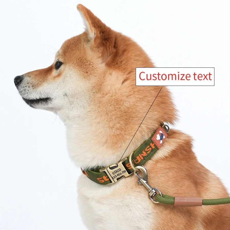 No-pull Dog Collar price
