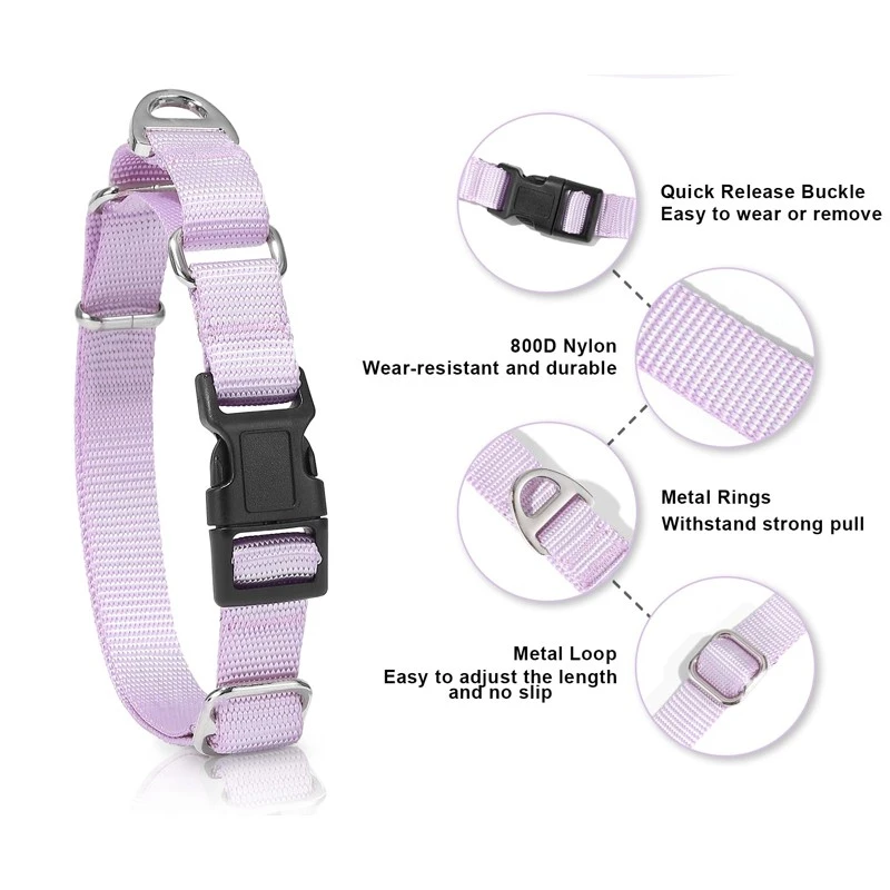 Pink Martingale Collar