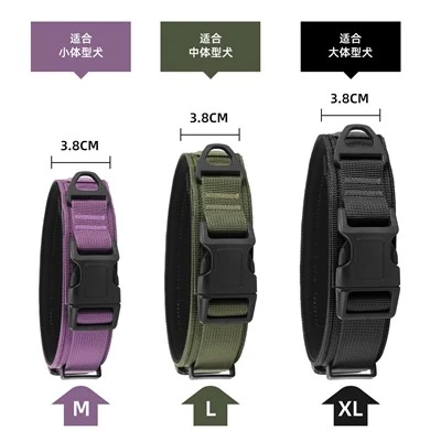 Dog Training Collar Dog Training Collar